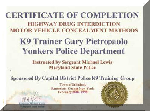 certificate-01