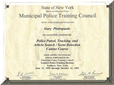 certificate-03