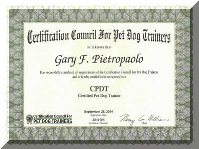 certificate-04