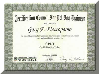 certificate-05