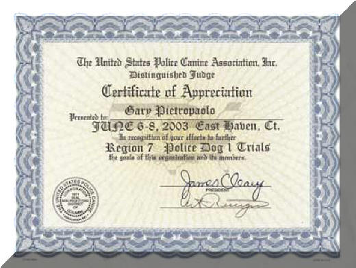 certificate-08