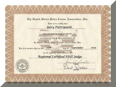 certificate-11