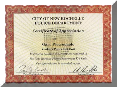 certificate-13