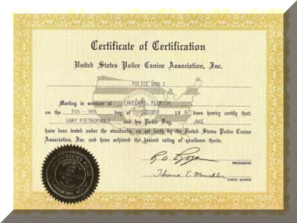 certificate-17