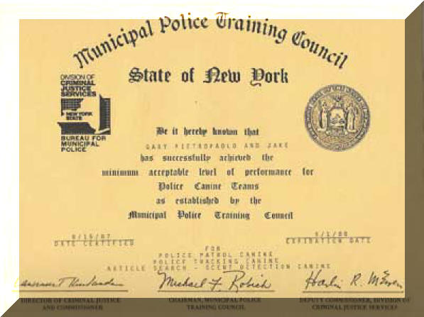 certificate-19